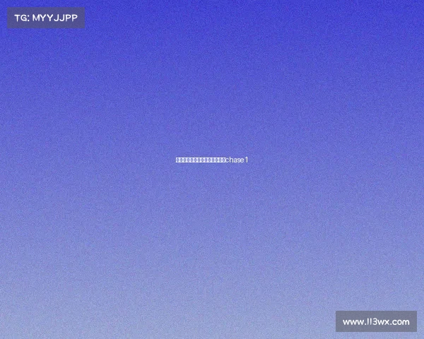 赛事公路自行车、公路自行车赛chase1